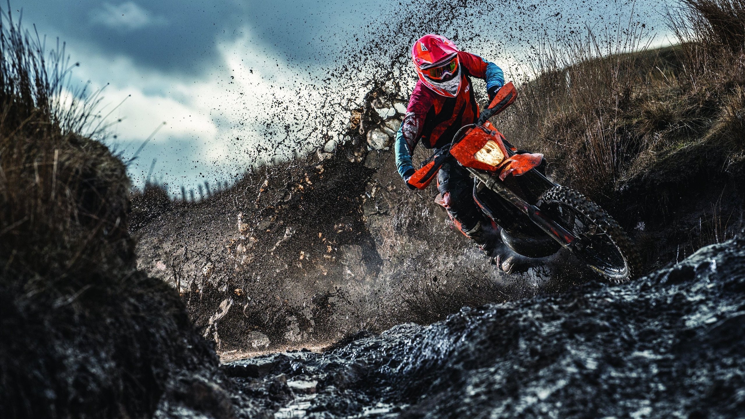 德国杯樊振东首秀告捷，萨尔布吕肯3-0横扫多特蒙德晋级八强，德国队 萨内